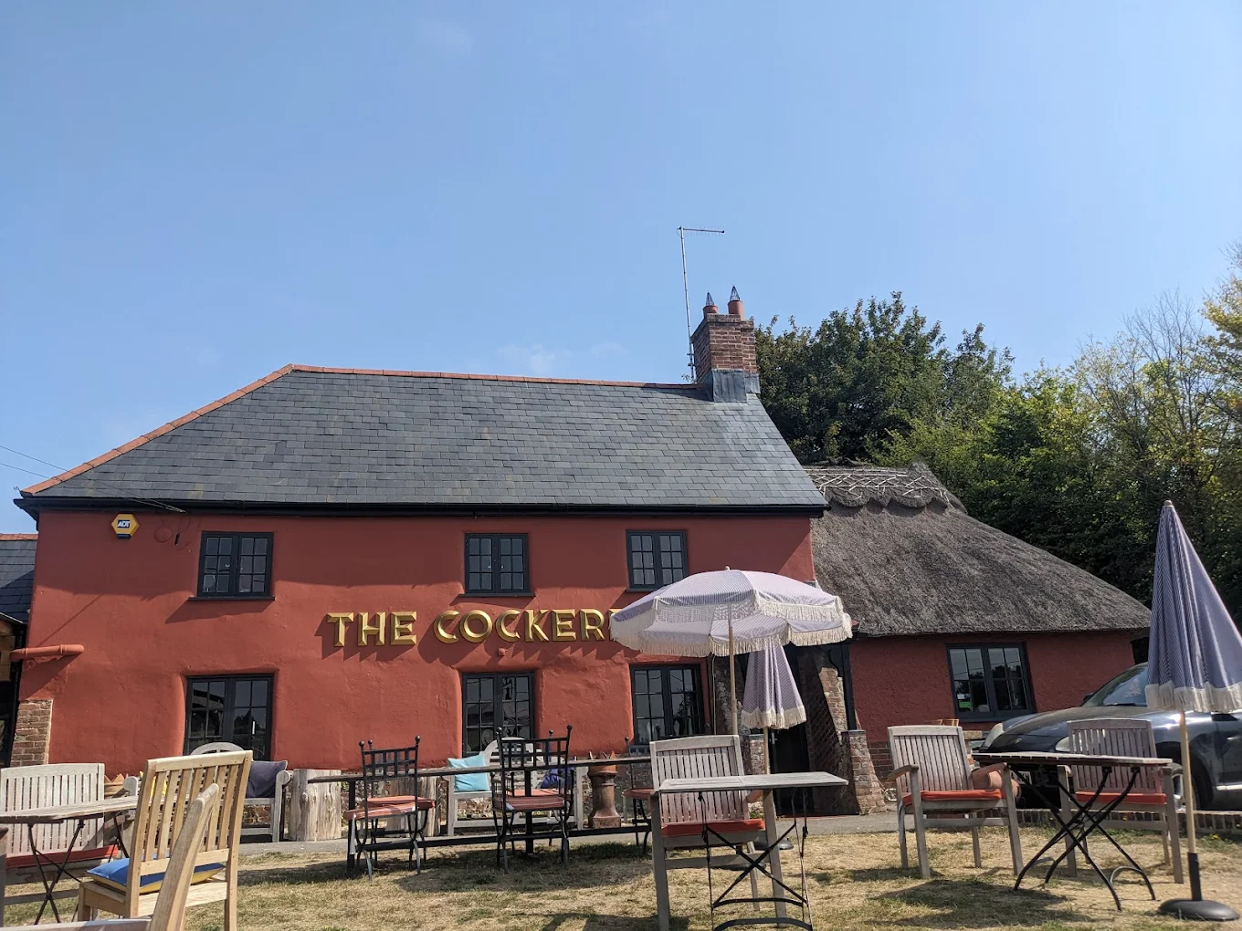 thecockerel